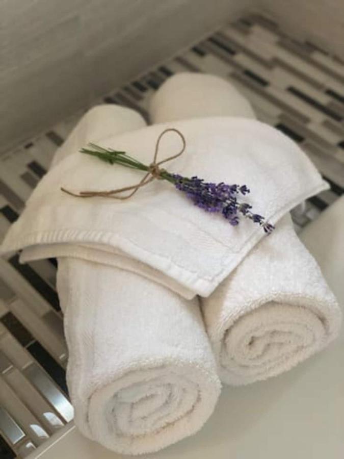 Chambre Quadruple avec Cuisine et Baignoire Spa - Animaux Domestiques Admis